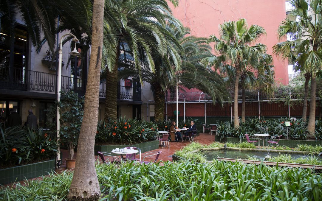 Directes a la República