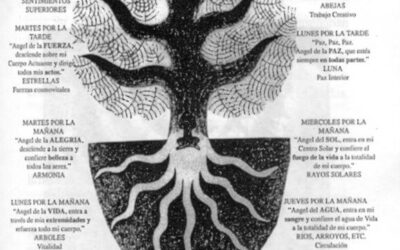 L’ARBRE DE LA VIDA