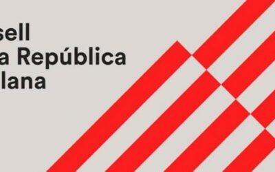 Els Consells Locals del CxR