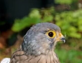 3 consejos si estás en el #Opus Dei